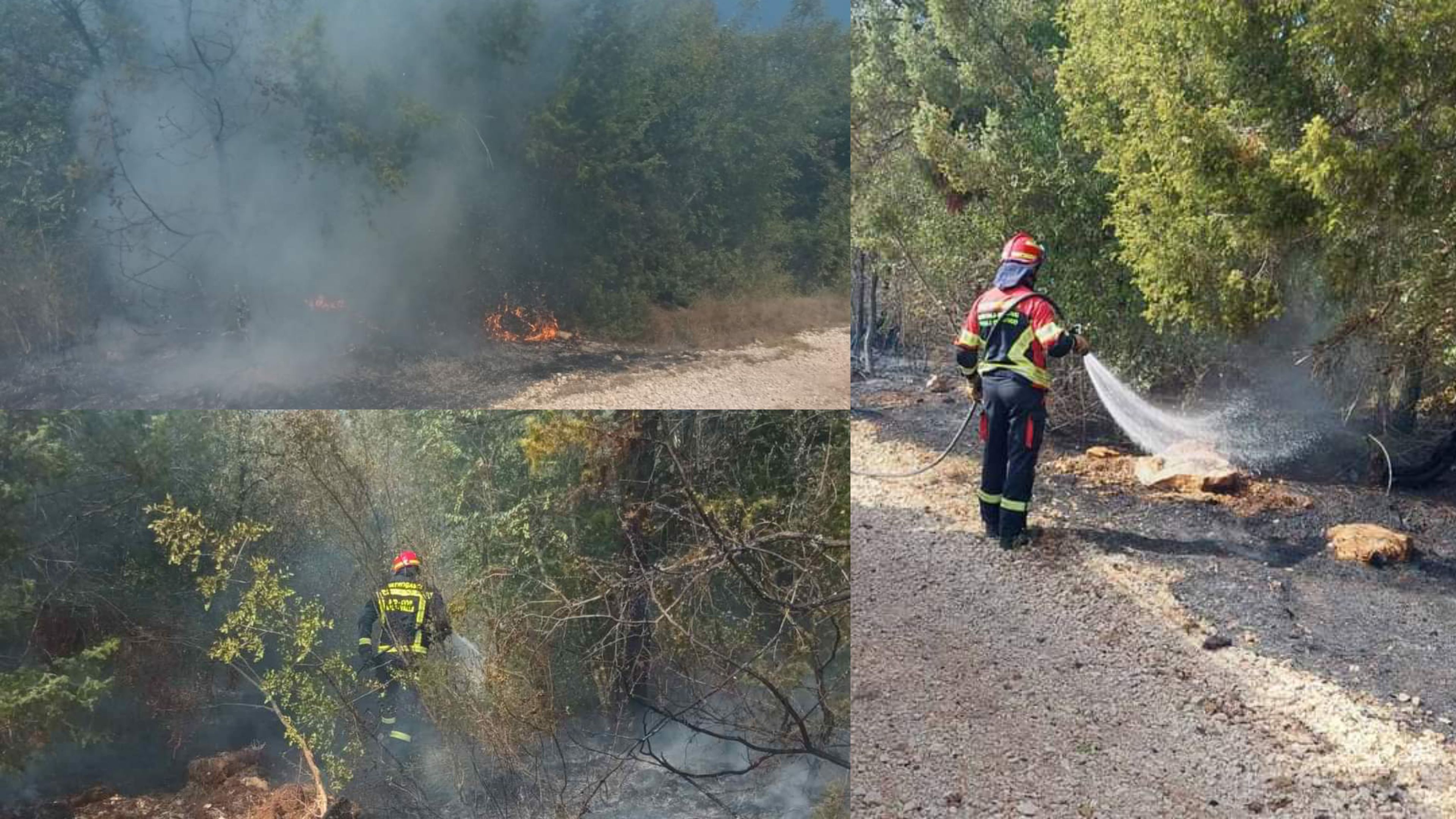 Vatrogasci intervenirali na Kanfanarštini GORJELO KOD KURILI