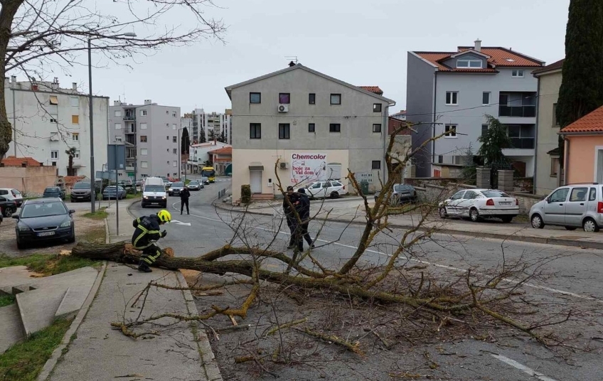 PADALA STABLA, ISPUMPAVALA SE VODA... Vatrogasci u Istri najviše intervencija imali na porečkom području