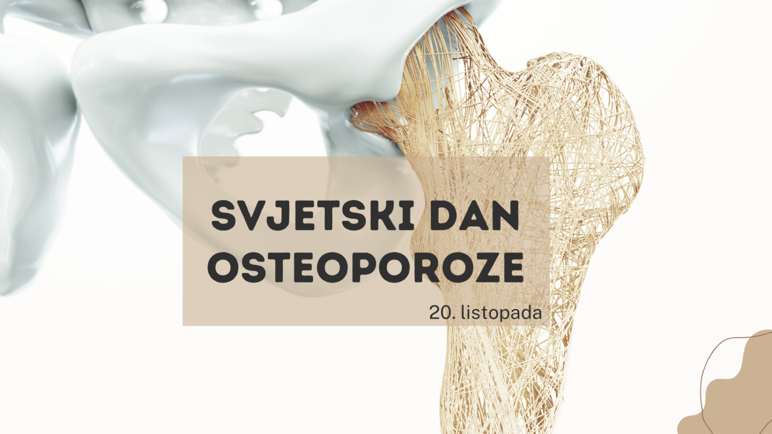 SVJETSKI DAN OSTEOPOROZE Jedna od 3 žene i jedan od 5 muškaraca starijih od 50 godina će doživjeti prijelom kosti