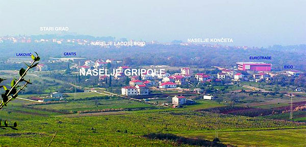 gripole-spine.jpg