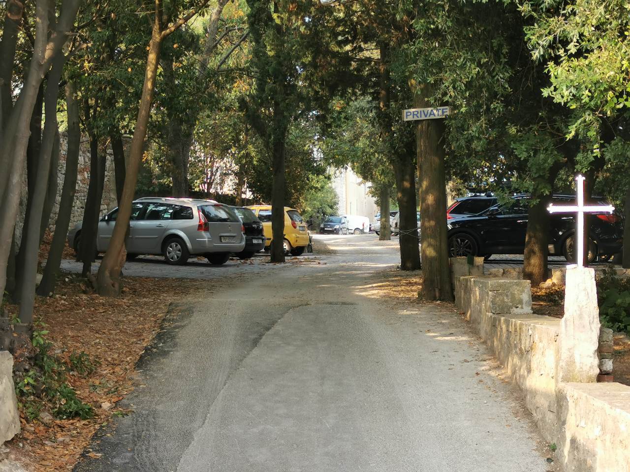 p1.jpg