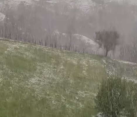 tuča2.jpg