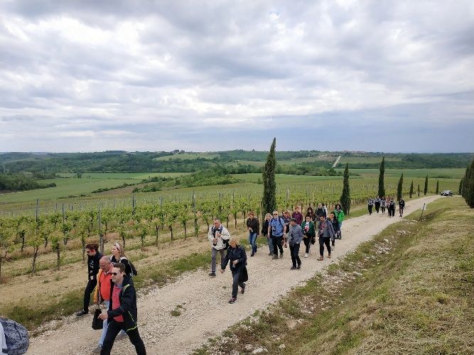 vino2.jpg