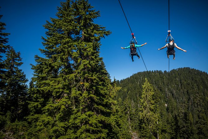 zipline.jpg